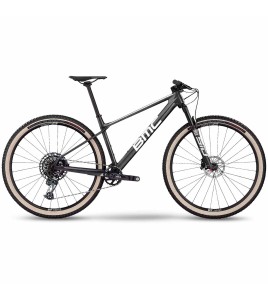 2022 BMC Twostroke 01 Two Mountain Bike