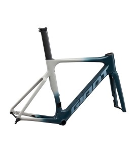 2022 Giant Propel Advanced Pro Disc Frameset