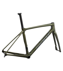 2022 Giant TCR Advanced Pro Disc Frameset