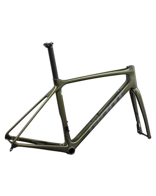 2022 Giant TCR Advanced Pro Disc Frameset