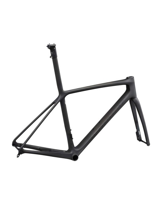 2022 Giant TCR Advanced SL Disc Frameset