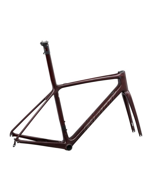 2022 Giant TCR Advanced SL Frameset