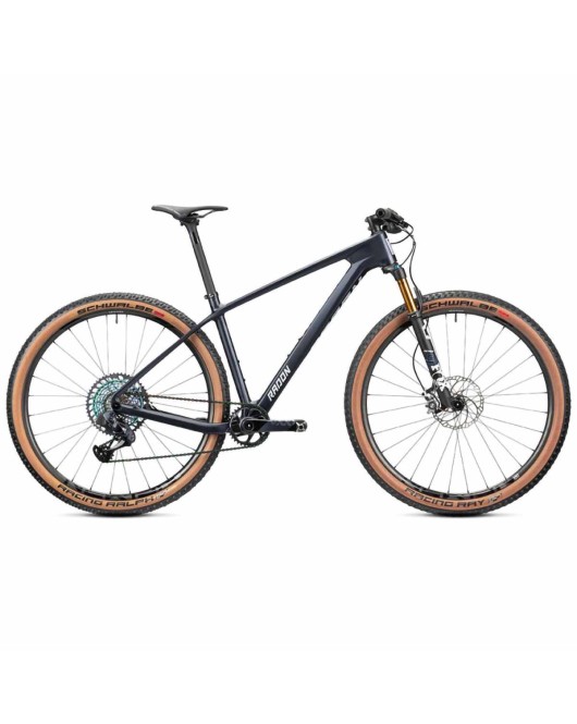 2022 Radon Jealous 10.0 EA Mountain Bike