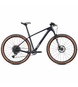 2022 Radon Jealous 10.0 Mountain Bike