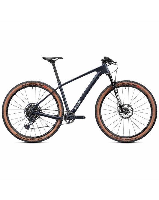 2022 Radon Jealous 10.0 Mountain Bike