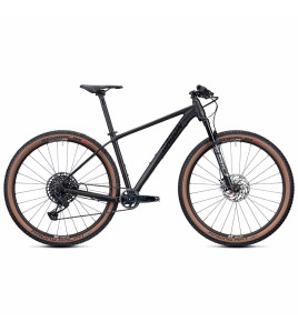 2022 Radon Jealous AL 10.0 SL Mountain Bike