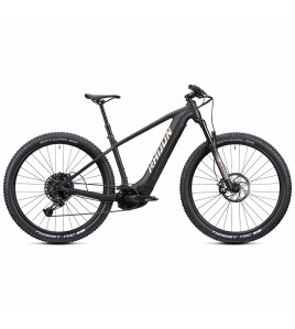 2022 Radon Jealous Hybrid 9.0 625 Mountain Bike