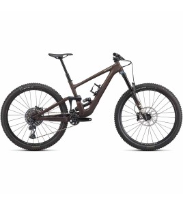 2022 Specialized Enduro Expert Mountain Bike
