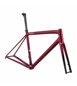 2022 Specialized S-Works Aethos Frameset