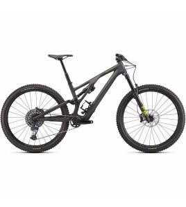 2022 Specialized Stumpjumper EVO Expert Mountain Bike