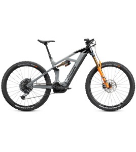 2023 Radon Render 10.0 750 Mountain Bike
