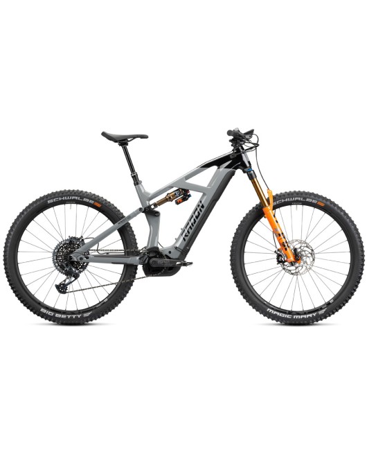 2023 Radon Render 10.0 750 Mountain Bike