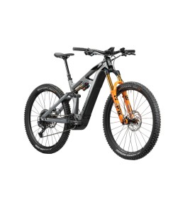 2023 Radon Render 10.0 750 Mountain Bike