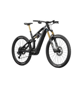 2023 Radon Render 10.0 HD 750 Mountain Bike