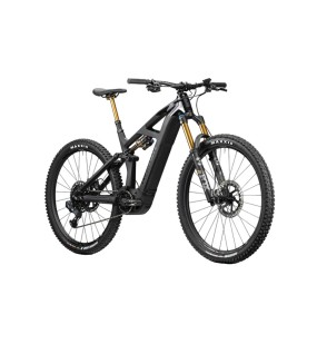 2023 Radon Render 10.0 HD 750 Mountain Bike
