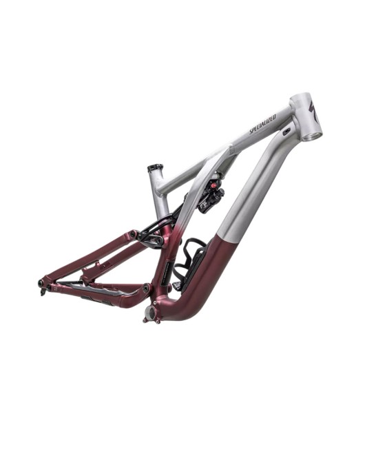 2023 Specialized Stumpjumper EVO Alloy Frameset