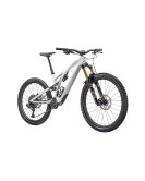 2023 Specialized Stumpjumper EVO Pro Mountain Bike