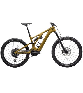 2023 Specialized Turbo Levo Expert