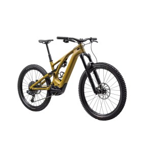 2023 Specialized Turbo Levo Expert