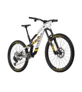 2024 Canyon Torque CF CLLCTV FW Mountain Bike