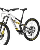 2024 Canyon Torque CF CLLCTV FW Mountain Bike