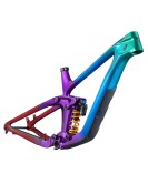 2024 Giant Reign Advanced Frameset