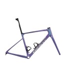 2024 Giant defy Advanced Sl Frameset