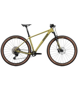 2024 Radon Jealous Al 10.0 Mountain Bike
