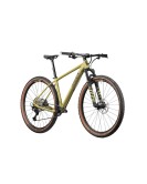 2024 Radon Jealous Al 10.0 Mountain Bike