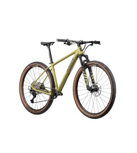 2024 Radon Jealous Al 10.0 Mountain Bike