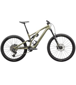 2024 Specialized Stumpjumper EVO Expert T-Type Mountain Bike