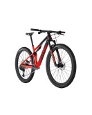 2024 BMC Fourstroke 01 TWO Mountain Bike
