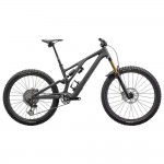 2024 Specialized S-Works Stumpjumper Evo Mountain Bike