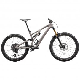2024 Specialized Stumpjumper Evo Pro Mountain Bike