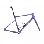 2024 Giant Defy Advanced SL Frameset