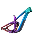 2024 Giant Reign Advanced Frameset