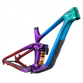 2024 Giant Reign Advanced Frameset