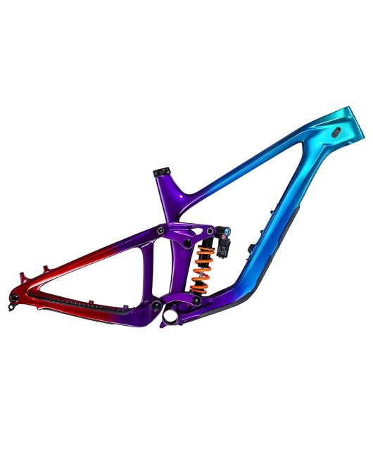 2024 Giant Reign Advanced Frameset