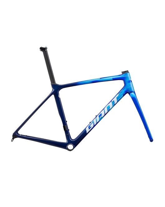 2024 Giant TCR Advanced Pro Disc Frameset