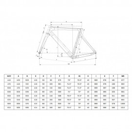 2025 Bianchi Oltre Race 105 Di2 12sp Carbon Road Bike