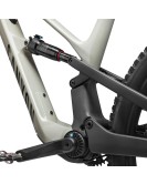 2025 Canyon Spectral:ONfly CF 8 Mountain Bike