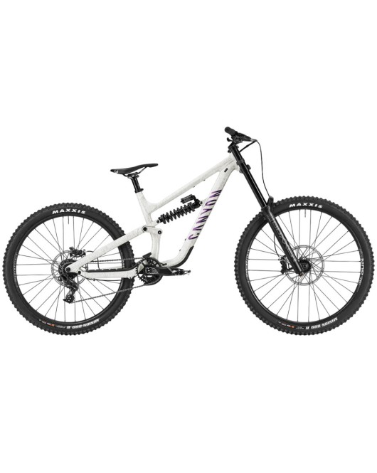 2025 Canyon Torque DH CLLCTV Mountain Bike