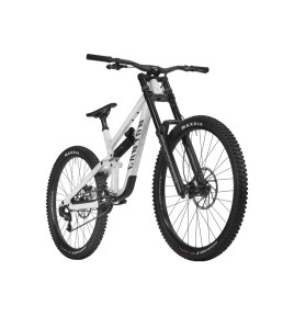 2025 Canyon Torque DH CLLCTV Mountain Bike