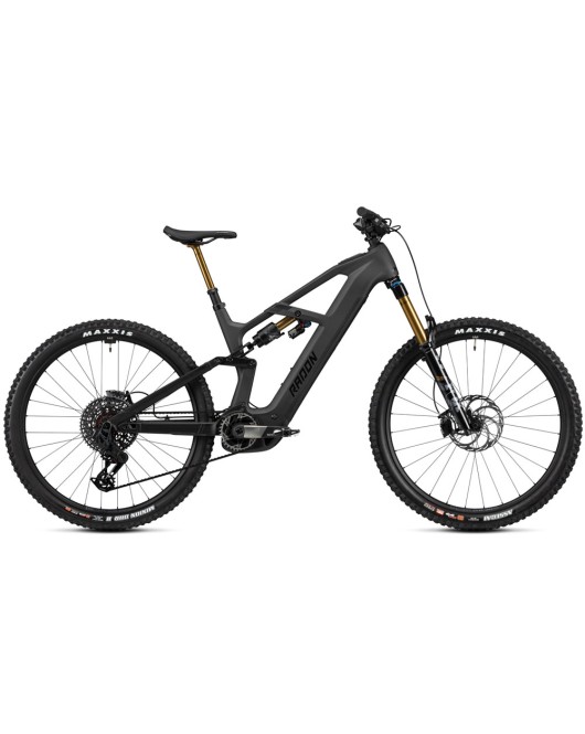 2025 Radon DEFT 10.0 800 Mountain Bike