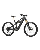 2025 Radon DEFT 10.0 800 Mountain Bike