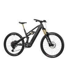 2025 Radon DEFT 10.0 800 Mountain Bike