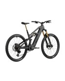 2025 Radon DEFT 10.0 800 Mountain Bike
