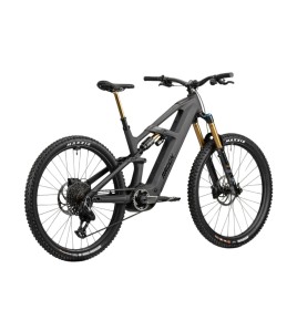 2025 Radon DEFT 10.0 800 Mountain Bike