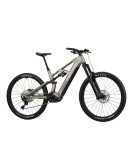2025 Radon DEFT 8.0 800 Mountain Bike