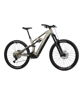 2025 Radon DEFT 8.0 800 Mountain Bike